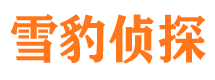 大城市私家侦探